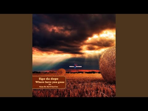 Where Have You Gone (feat. Sam De Dj, Kat-Lee)