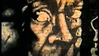 The Leopards Starlings