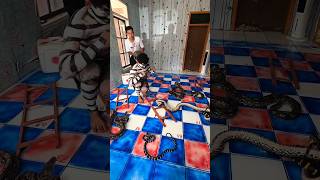They Played Giant Real Life Snakes  🐍 and ladders #snakeandladders #shortvideo #shorts