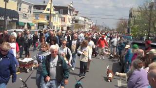 preview picture of video '2010 Doo Dah Parade  Ocean City, NJ'