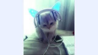 Say it remix (Tory Lanez - Sevyn Streeter) sped up