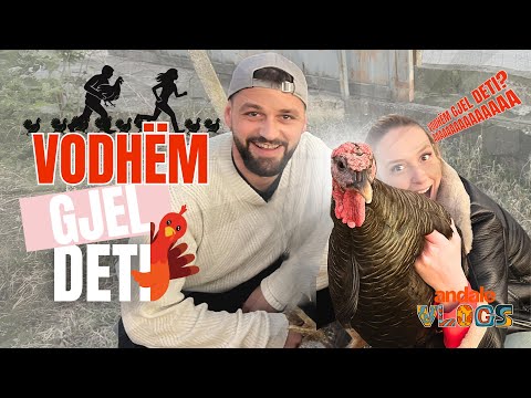 Verë Falas: Shtiremi si ekspertë Verash | Andale Vlogs