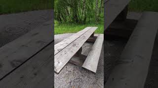 I Found a Secret Budget Hack (and a Hidden Forest BBQ!) in Sweden 🇸🇪