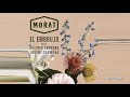 Morat - El Embrujo ft. Antonio Carmona, Josemi Carmona (Audio)