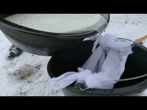 BRANZA de Vaci π Homemade ORGANIC Cottage Cheese