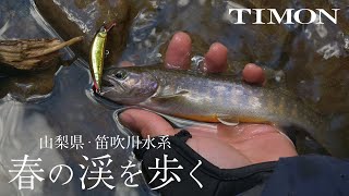 【TIMON 渓流】笛吹川水系で早春の渓流魚探し / 青柳恭平、青柳稜