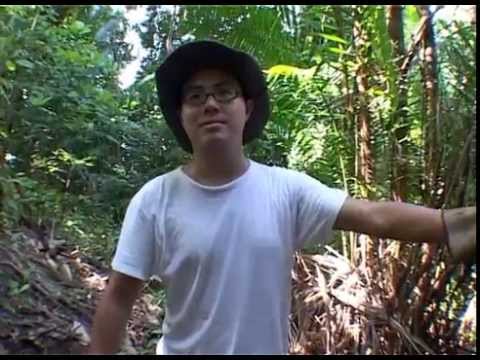 Invisible City by Tan Pin Pin - Official Trailer