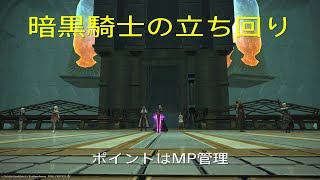 【暗黒騎士】戦闘の基本を守りながらタンクでエキルレ