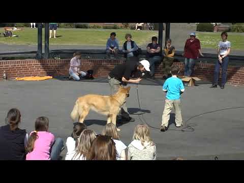 Alex Angrick und Martin Rütter, Kindervorführung