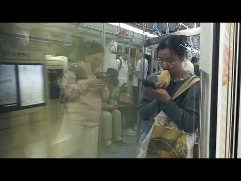 "Done and Dusted" Shanghai Metro Line 17 trip from Xujingbeicheng to Hongqiao Railway Station