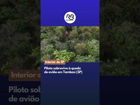 Piloto sobrevive à queda de avião em Tambaú (SP)