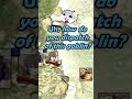 Tommy the Goblin Slayer | D&D (Lost Mines Of Phandelver HARDCORE) #dnd #dungeonsanddragons