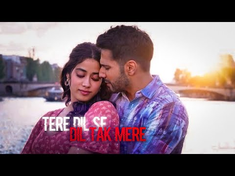 Bawaal x Dil SE Dil Tak | Varun Dhawan and janhvi kapoor love story edit