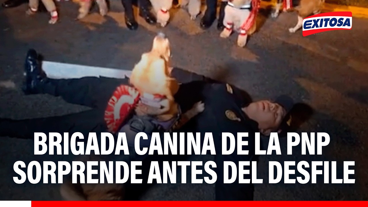 🔴🔵 Brigada Canina de la PNP realiza demostraciones antes del Gran Desfile Cívico Militar 2026