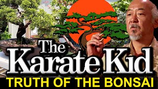 the Karate Kid: Truth of the Bonsai video