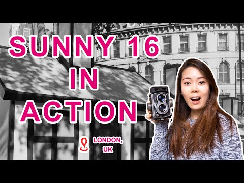 [Film Photography] SUNNY 16 Rule on TLR: 120 Film Street Photography with no light meter (Hp5+ 400)