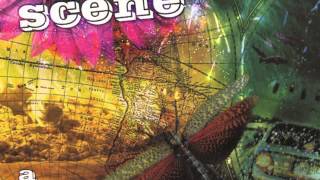 Ocean Colour Scene - Waving Not Drowning