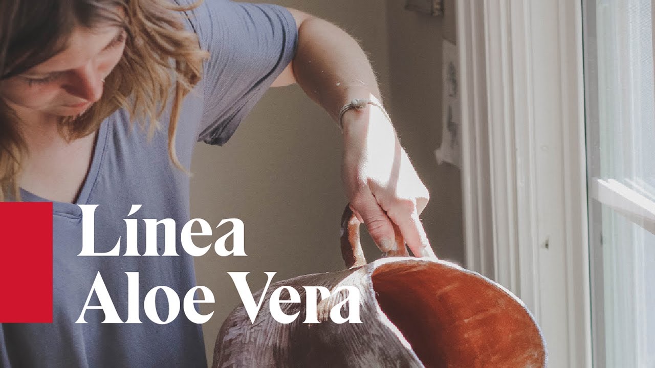 FRESH HOME HOME TEXTILES Almohada viscoelástica Aloe Vera de firmeza Alta  100% Natural, hipoalergénica, Transpirable y antibacteriana, Muy Duradera.  (150 cm) : : Hogar y cocina