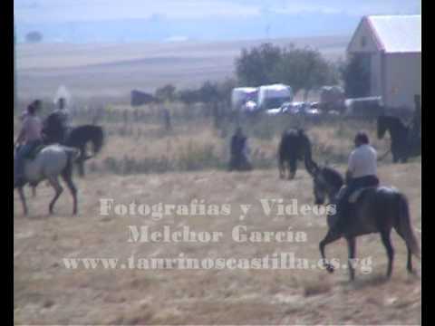 Guarrate 2010, Sábado 19 de Junio de 2010