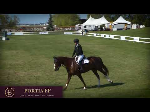 Portia EF Flatwork