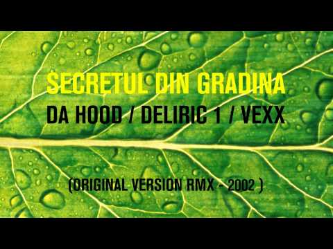 DA HOOD feat. DELIRIC & VEXX - Secretul din Gradina (2002)