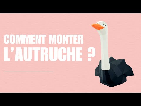 Autruche - vidéo de présentation