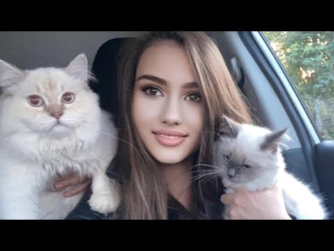 Inessa and her kittens live in the forest  Bushcraft