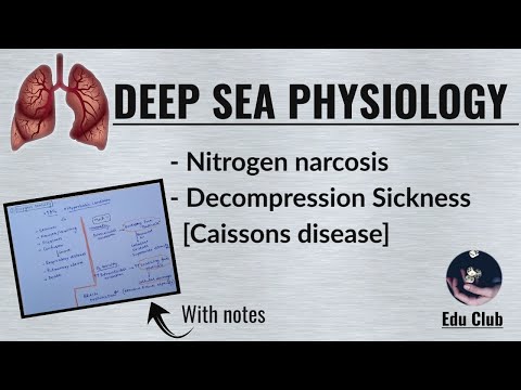 Decompression sickness | Caisson Disease | Nitrogen Narcosis | Deep Sea Diving || Respiratory Physio