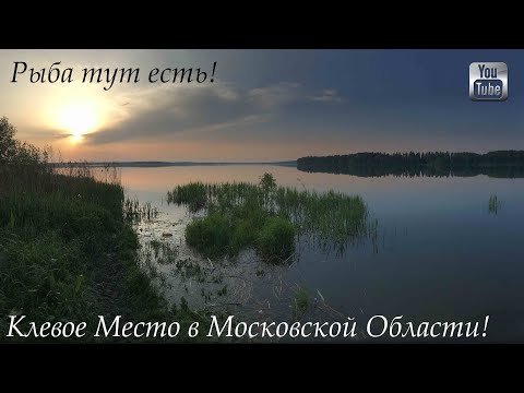 Клевое Место! река Мазиха, Сенеж, Солнечногорск Ловим Плотву, Леща, Карпа, Щуку, Виски, Коньяк и
