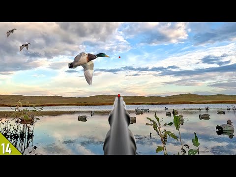 COVERED UP in Ducks in a NEW SPOT! (Limited Out) | Duck Hunting 