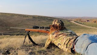 Shooting prairie dogs in Wyoming .204 Ruger