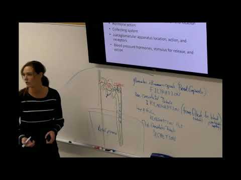 BIO 202 Unit 4 Review