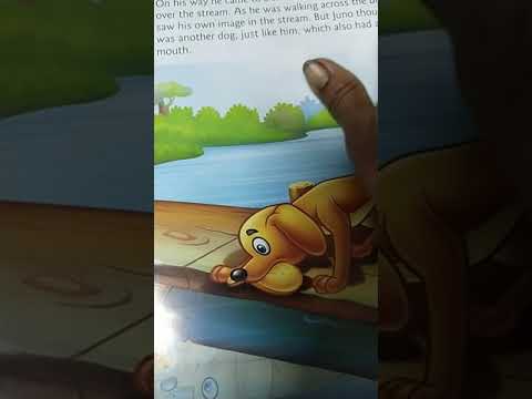 the dog and its reflection