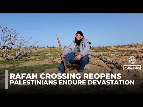 Rafah crossing reopens: Palestinians rooted to their land despite devastation