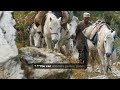 Kedarnath Yatra Guide 2026 How To Avoid Common Mistakes Kedarnath Kedarnathtemple