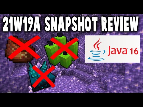 Faster Java! 1.17 Minecraft Cave Update (21w19a Review)