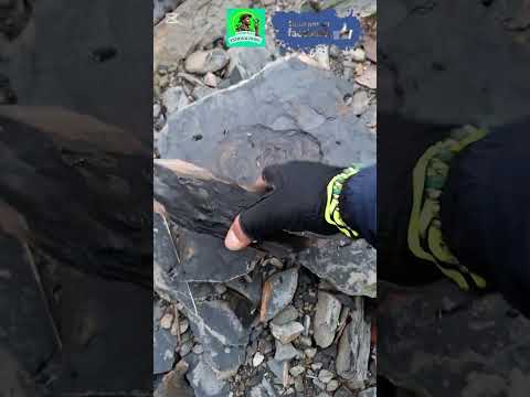 fósiles otanche Boyacá #viral_video #travesia #viajeinolvidable
