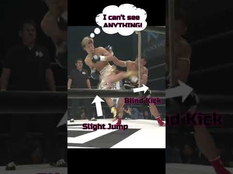 Tenshin Nasukawa Kickboxing Knockout Serious Breakdown Fun