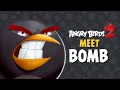 Angry Birds 2 Meet Bomb Explosive Temper