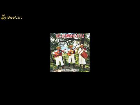 Los Hermanos Villa - Llanto por un árbol (Chamamé)