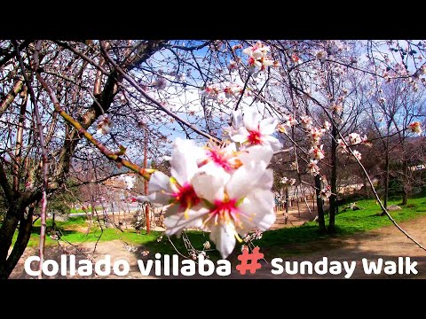 🌸🌺🌹🥀 SPRING IS COMING !!!--Sunday Morning Walk in Collado Villaba Madrid Spain/ Madrid village