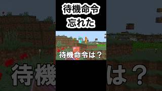 【ゾンビの逆襲】#マイクラ統合版  #アドオン