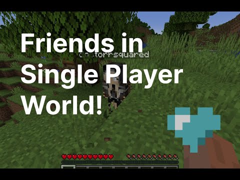 Make your Single Player Minecraft World Public! Let friends join (Java)