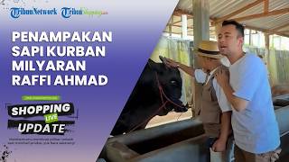 Habiskan Duit Miliaran, Raffi Ahmad Borong Sapi Jumbo di Peternakan Irfan Hakim Jelang Iduladha