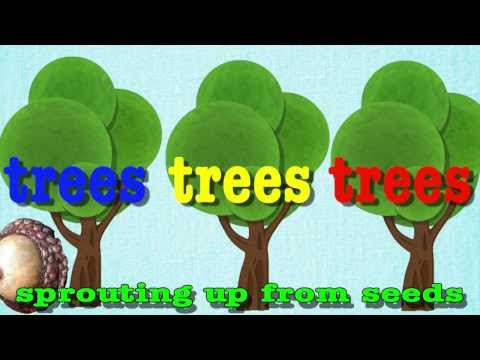 image-What trees have a smooth trunk?