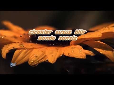 SENİ CooK  SEVİYORUM