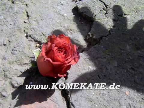 Benyo hussain feat Pers Bear und Kurdy A--Die Rose Vom Block