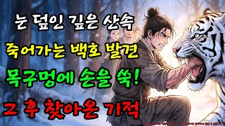 Download lagu 죽어가는 백호 입에 손 넣은 나무꾼, 그날 밤 시작된 충격적인 보은 |야담 |옛날이야기 |민담 |전설 | 설화 mp3