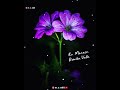 Tamil Melody Songs HD Whatsapp Status Video Tamil Love Songs Ambala Movie Song Video Download Melody