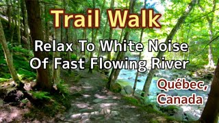 Virtual Forest Trail Walk - White Noise Of River - Treadmill Scenery - POV Hiking In Woods